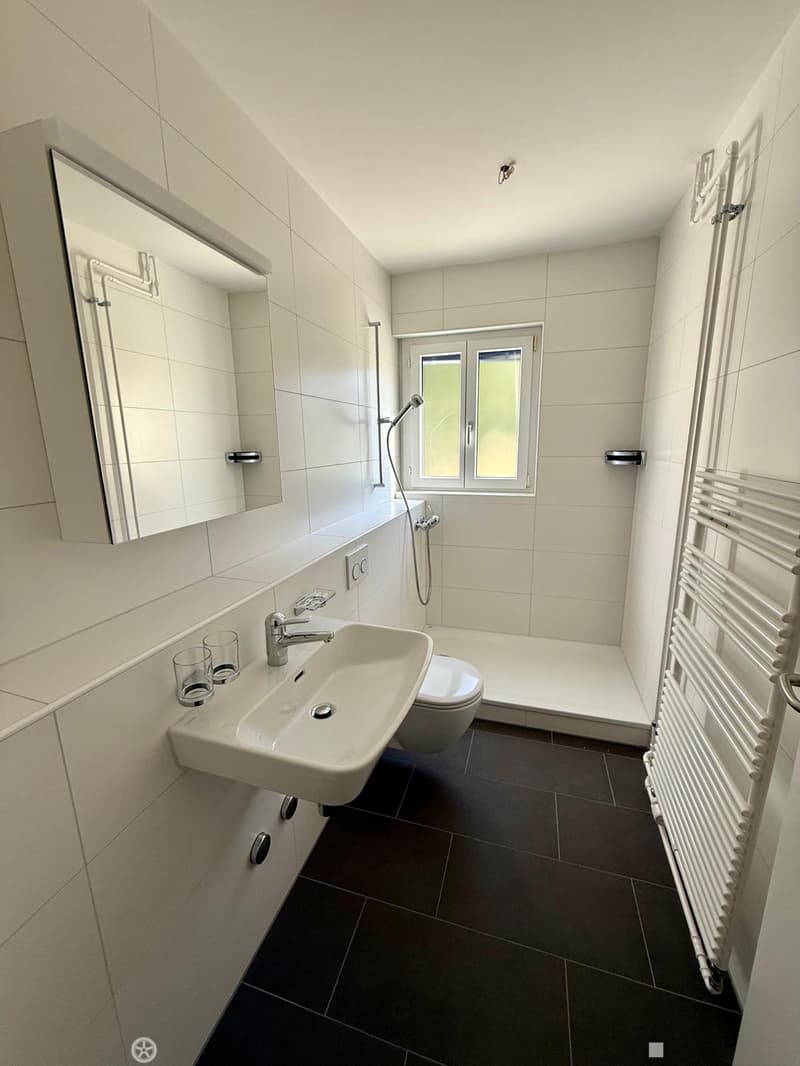 Renovierte 3-Zimmerwohnung mit Mansarde / Appartement rénovée de 3 pièces avec mansarde (4)