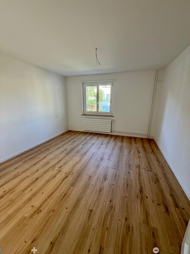 Renovierte 3-Zimmerwohnung mit Mansarde / Appartement rénovée de 3 pièces avec mansarde (5)
