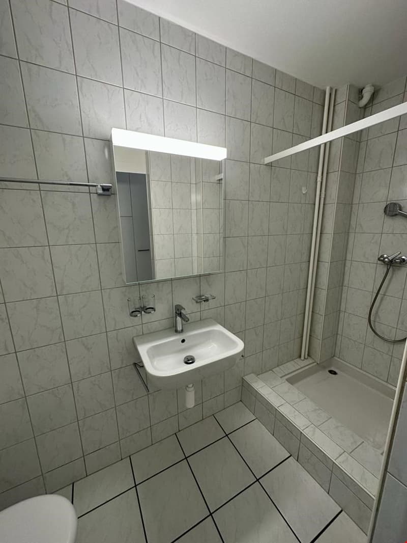 Moderne 2-Zimmerwohnung an ruhiger Lage in Zentrumsnähe / Appartement moderne de 2 pièces (3)