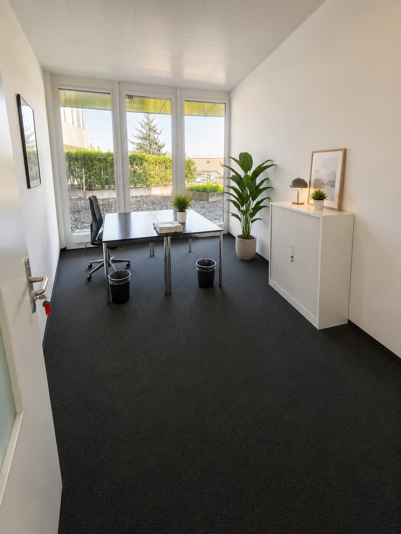 Bureau lumineux et moderne avec accès direct à la terrasse (3)