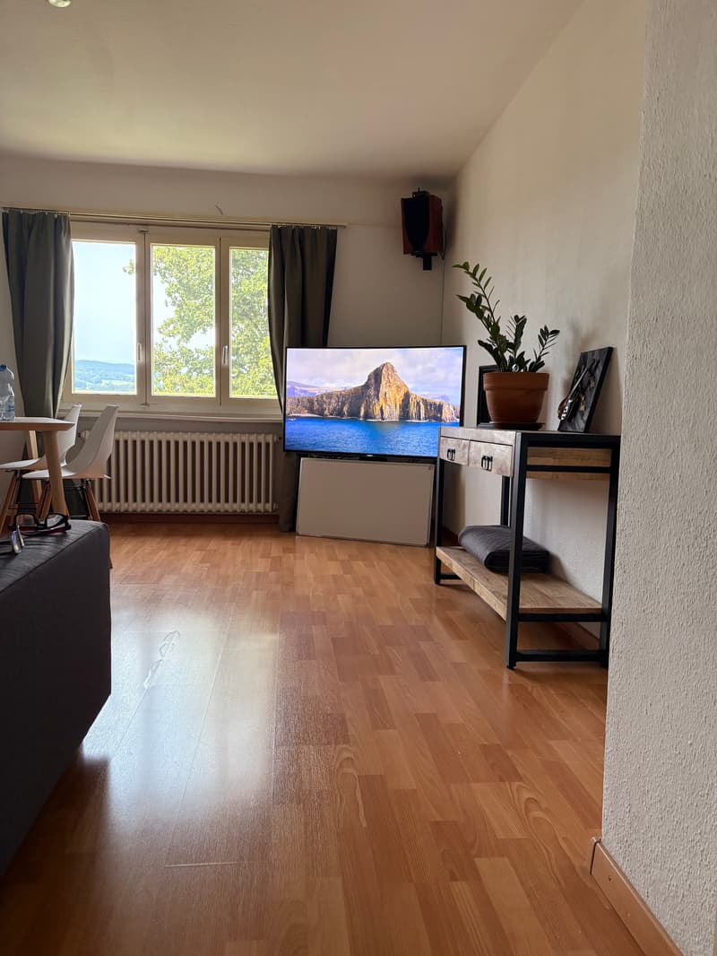 Appartamento di 3.0 camere al 2° piano (9)