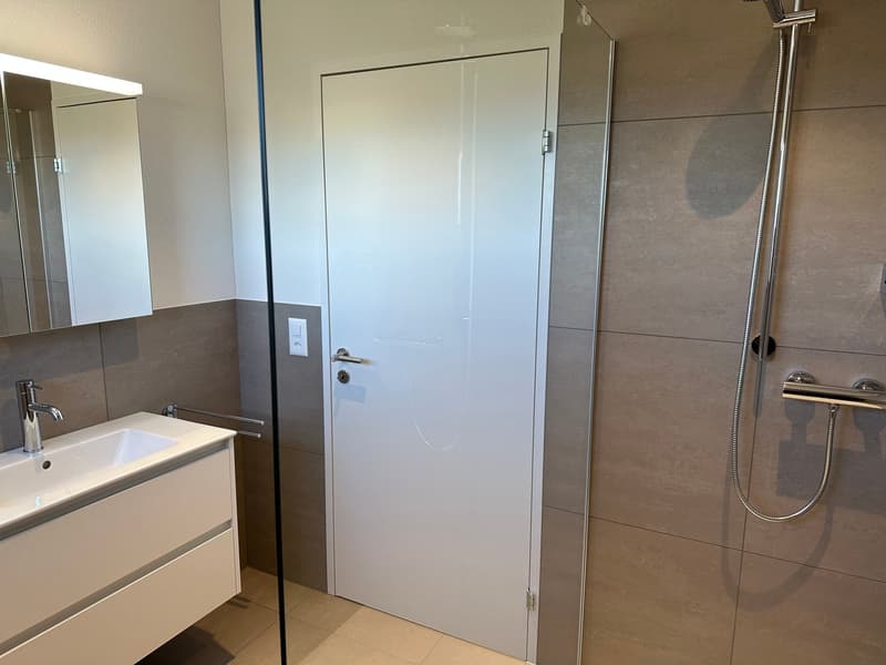 Sonnige 3.5-Zimmer-Attikawohnung im 3. OG (8)