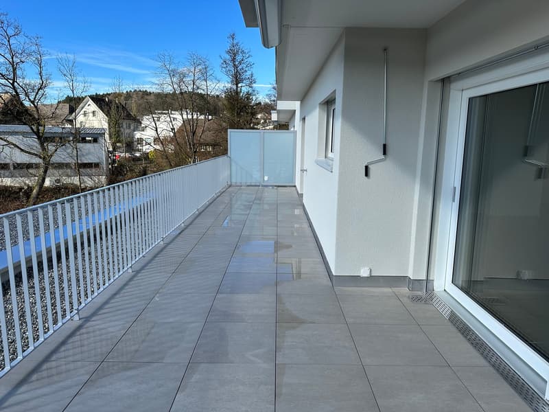 Sonnige 3.5-Zimmer-Attikawohnung im 3. OG (9)
