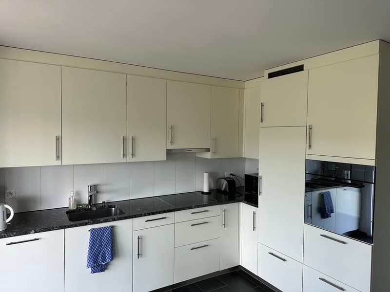 2.5 Zimmerwohnung in Moosleerau (3)