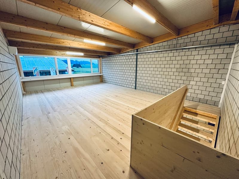 An empty room with hardwood floor, wooden beams on the ceiling, tiled walls, windows, and stairs