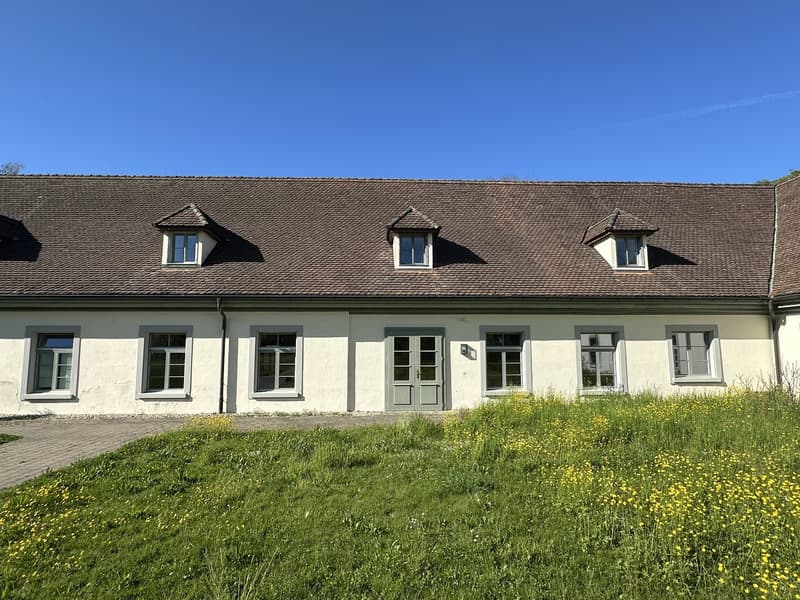 Repräsentative 6.5-Zimmer Büroräume / Atelier / Praxis in historischem Klostergebäude (1)