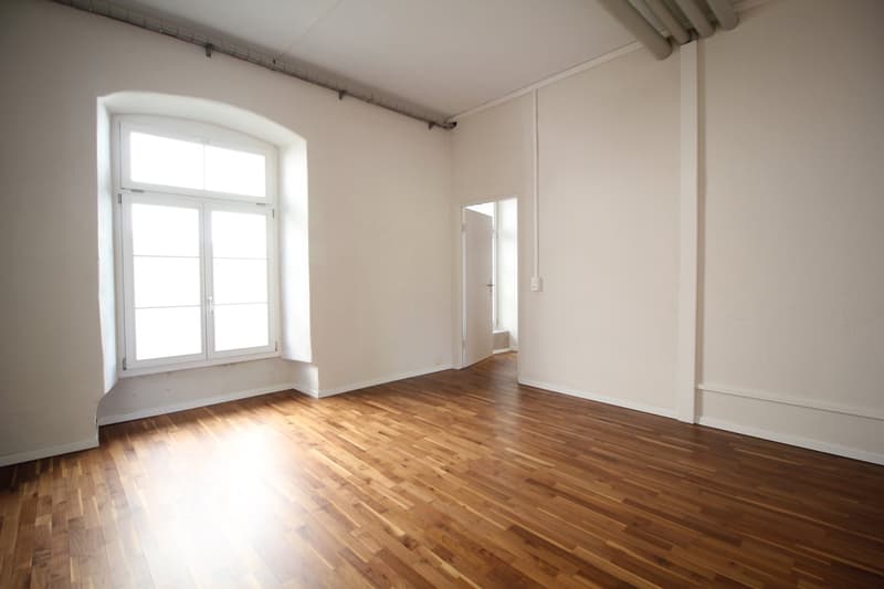 Spazi rappresentativi di 6,5 locali / studio / studio in edificio storico di monastero (7)