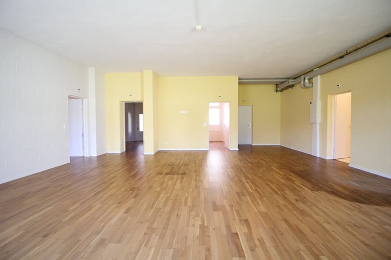 Spazi rappresentativi di 6,5 locali / studio / studio in edificio storico di monastero (3)