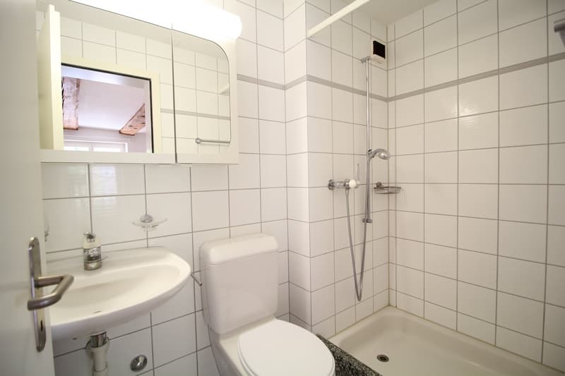 Charmante 1.5-Zimmer-Wohnung mit historischem Charme nahe Bahnhof Olten (3)