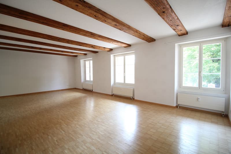 Charmante 1.5-Zimmer-Wohnung mit historischem Charme nahe Bahnhof Olten (2)