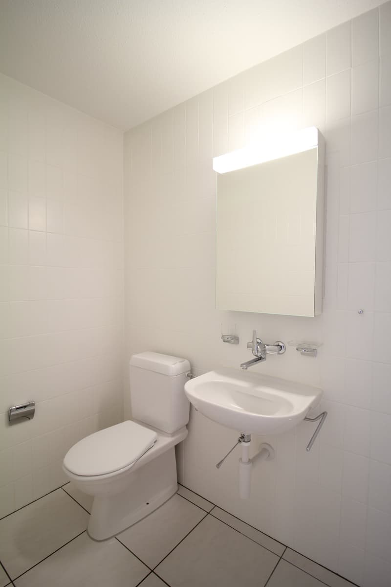 Grosse & helle 5.5 Zimmer-Wohnung mit toller Aussicht bis in die Alpen (12)