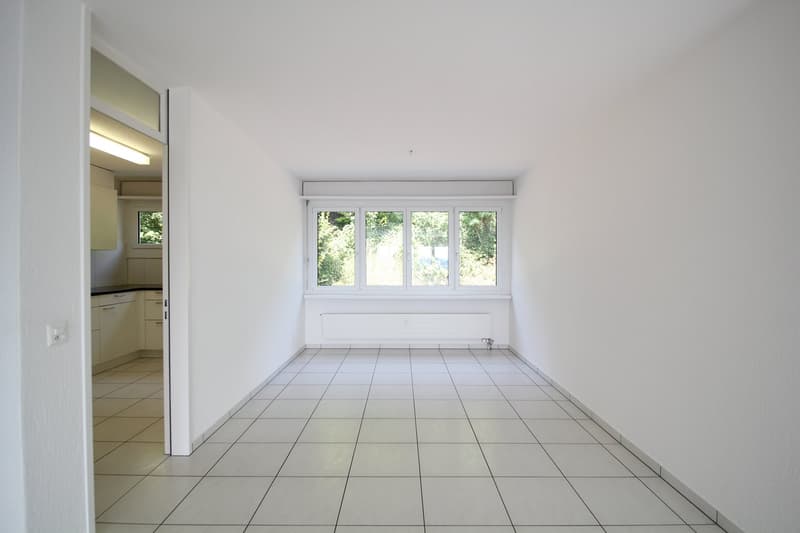Grosse & helle 5.5 Zimmer-Wohnung mit toller Aussicht bis in die Alpen (4)