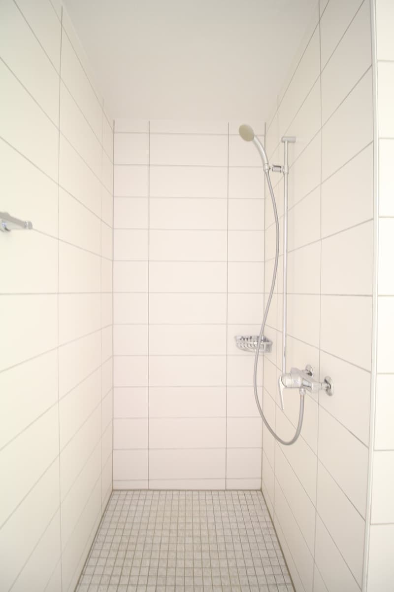 Grosse & helle 5.5 Zimmer-Wohnung mit toller Aussicht bis in die Alpen (8)