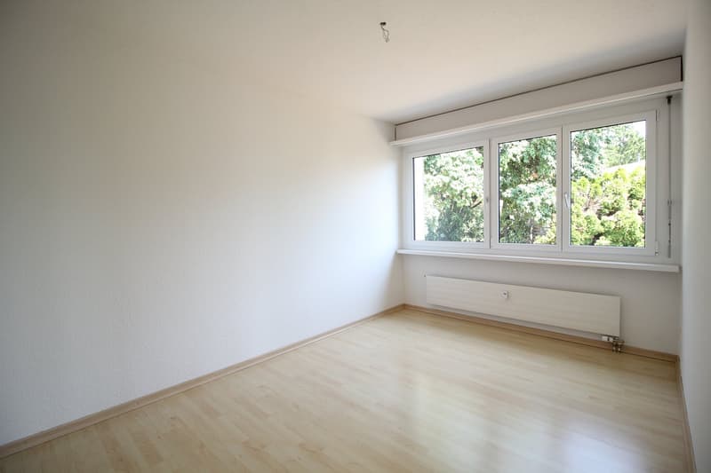 Grosse & helle 5.5 Zimmer-Wohnung mit toller Aussicht bis in die Alpen (13)