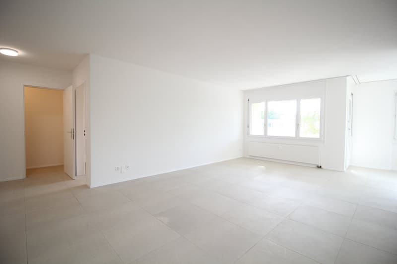 Neu renovierte und ruhige 4.5-Zimmer-Wohnung, nähe Aarau (12)