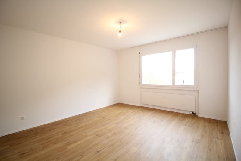 Neu renovierte und ruhige 4.5-Zimmer-Wohnung, nähe Aarau (5)