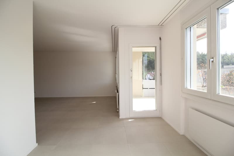 Neu renovierte und ruhige 4.5-Zimmer-Wohnung, nähe Aarau (15)