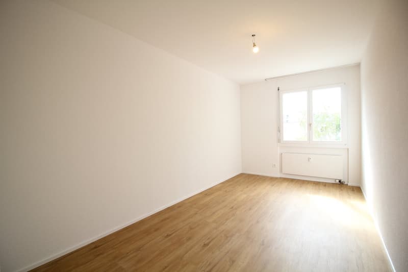 Neu renovierte und ruhige 4.5-Zimmer-Wohnung, nähe Aarau (16)