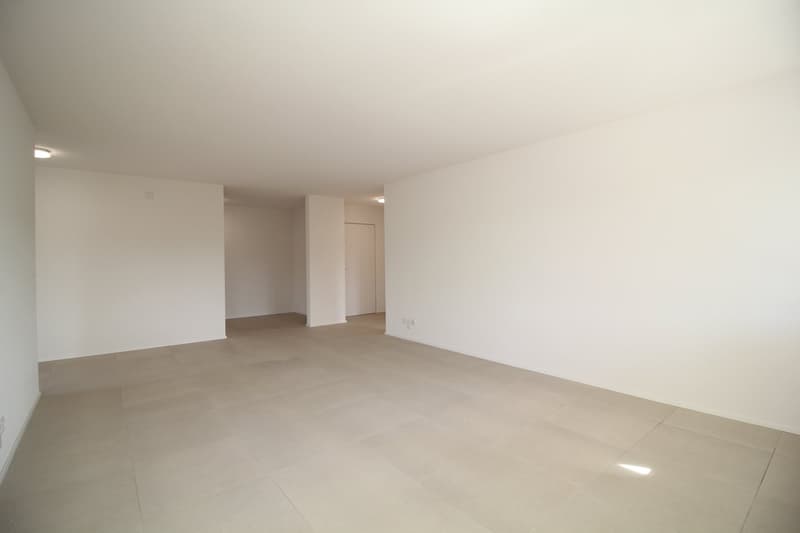 Neu renovierte und ruhige 4.5-Zimmer-Wohnung, nähe Aarau (3)