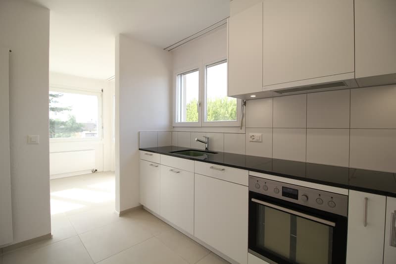 Neu renovierte und ruhige 4.5-Zimmer-Wohnung, nähe Aarau (2)