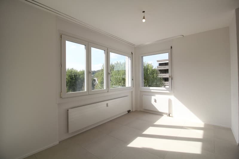 Neu renovierte und ruhige 4.5-Zimmer-Wohnung, nähe Aarau (14)