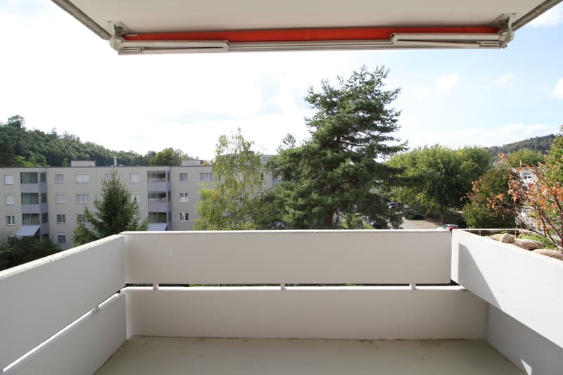 Neu renovierte und ruhige 4.5-Zimmer-Wohnung, nähe Aarau (18)