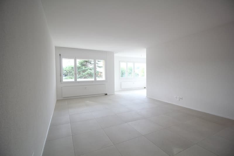 Neu renovierte und ruhige 4.5-Zimmer-Wohnung, nähe Aarau (4)