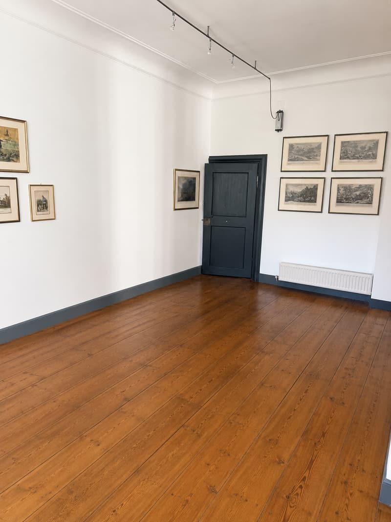Charmante maisonnette 4 pièces dans un immeuble ancien – St. Gallen (5)