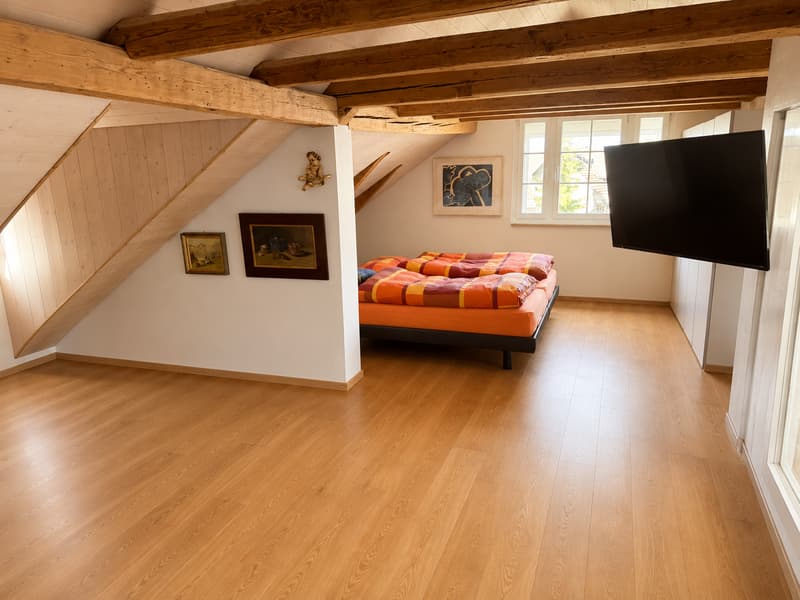 Charmante maisonnette 4 pièces dans un immeuble ancien – St. Gallen (11)