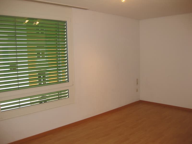 Charmantes 1-Zimmer-Apartment im 4. OG in St. Gallen (2)