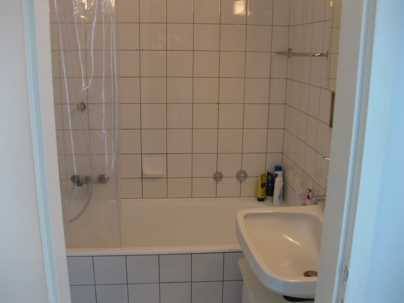 Charmantes 1-Zimmer-Apartment im 4. OG in St. Gallen (6)