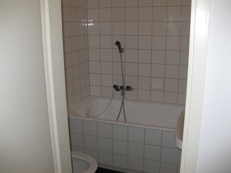 Charmantes 1-Zimmer-Apartment im 4. OG in St. Gallen (5)