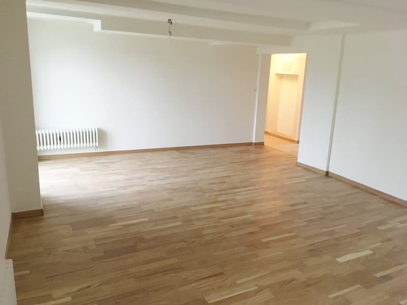Appartamento di 3 locali luminoso con balcone a Steinach (6)