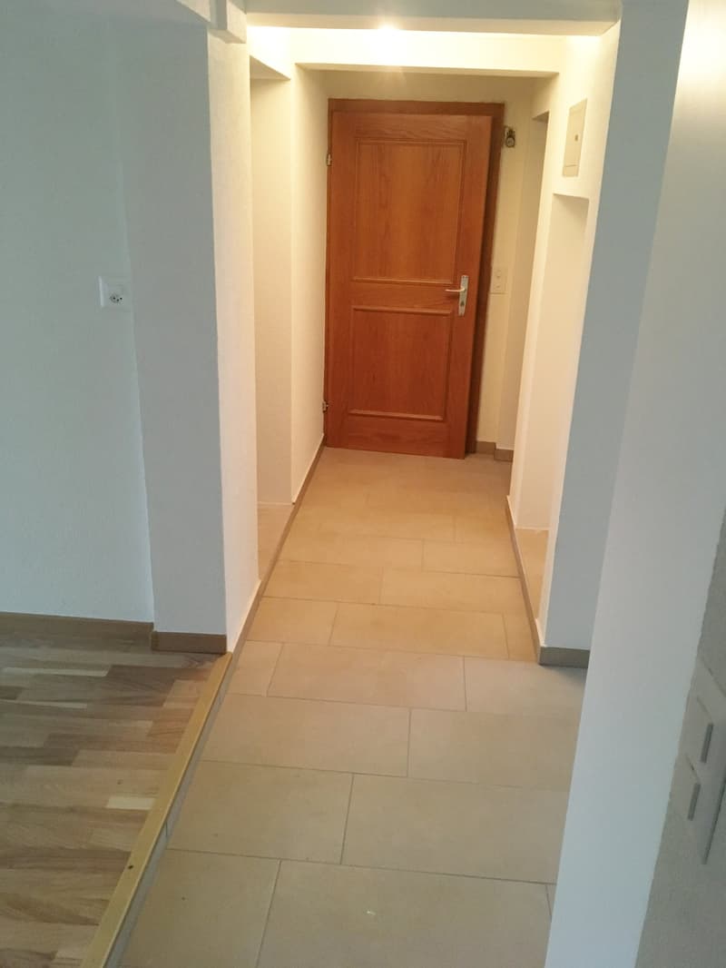 Appartamento di 3 locali luminoso con balcone a Steinach (3)