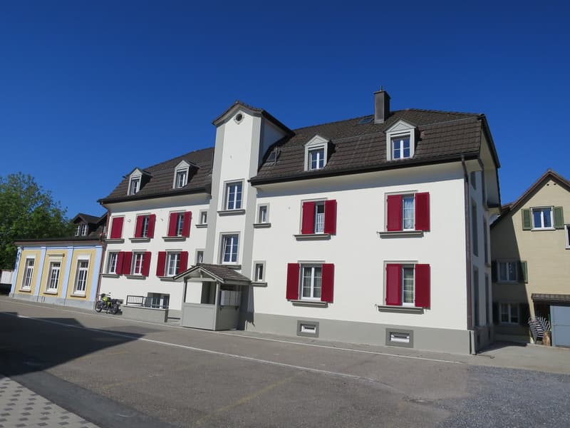 Appartamento di 3 locali luminoso con balcone a Steinach (1)