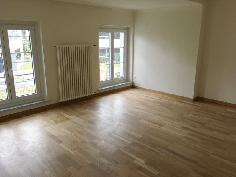Appartamento di 3 locali luminoso con balcone a Steinach (5)