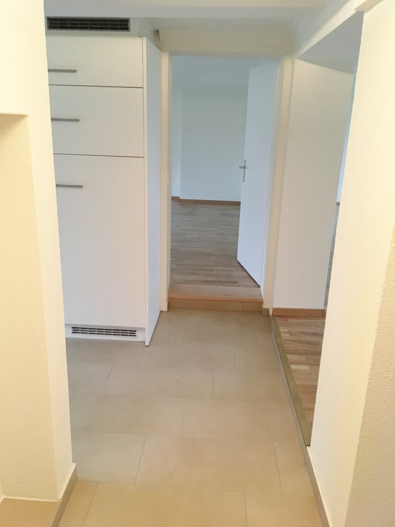 Appartamento di 3 locali luminoso con balcone a Steinach (2)