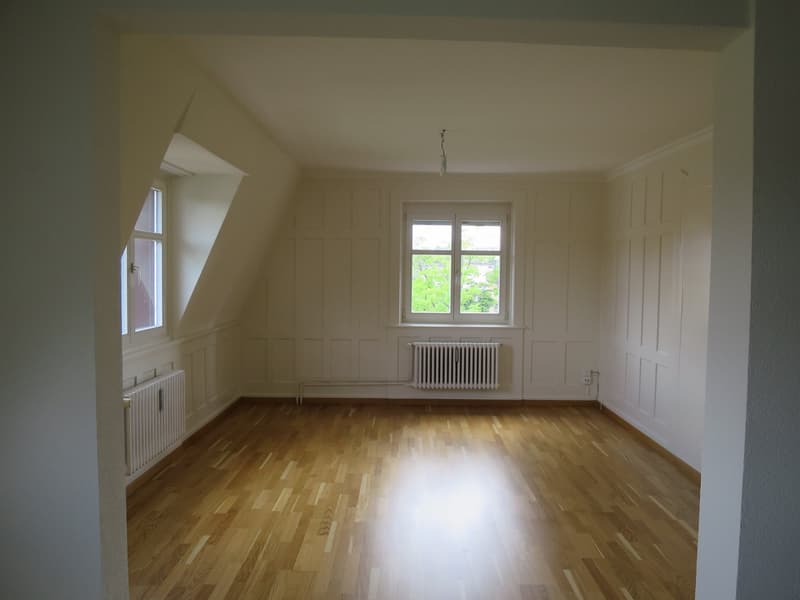 Charmant appartement 3 pièces dans un immeuble ancien à St. Gallen, dans un quartier calme (5)