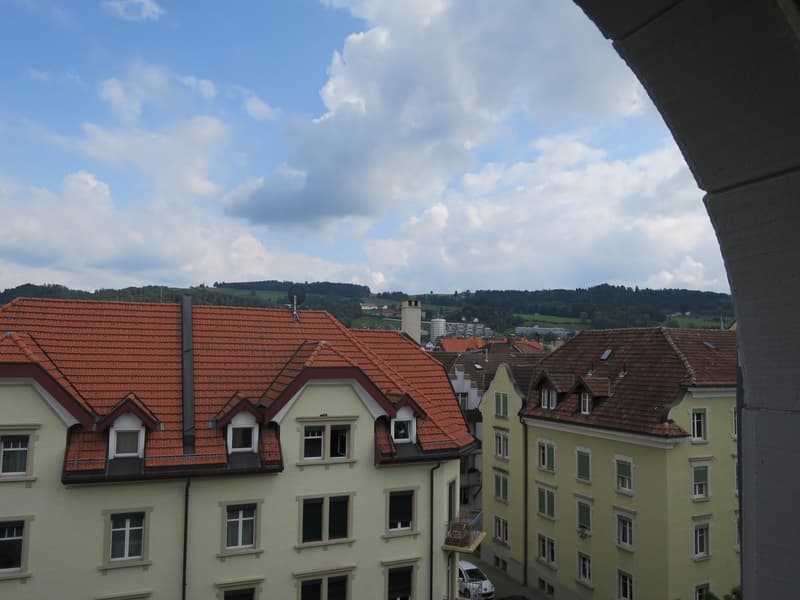 Charmant appartement 3 pièces dans un immeuble ancien à St. Gallen, dans un quartier calme (4)
