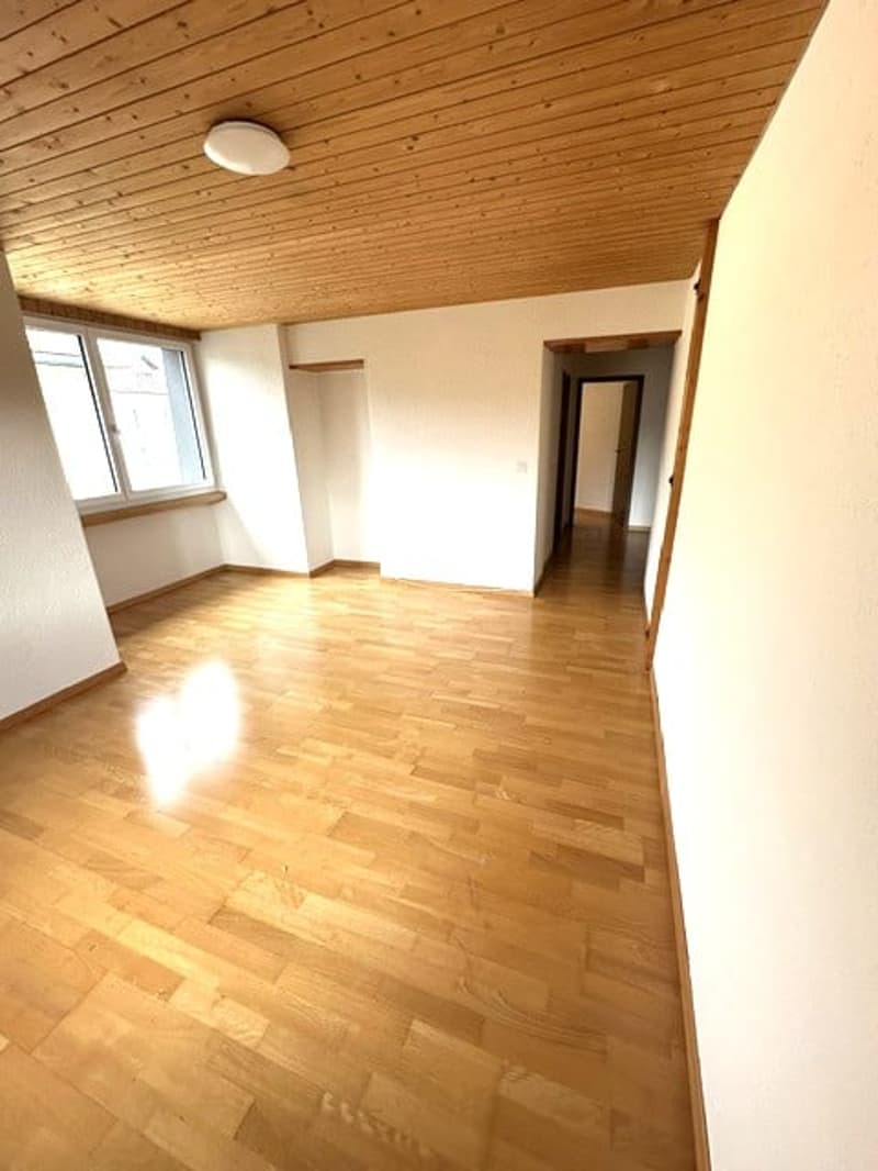 Charmante 3-Zimmer-Altbauwohnung mit schöner Aussicht in St. Gallen (5)