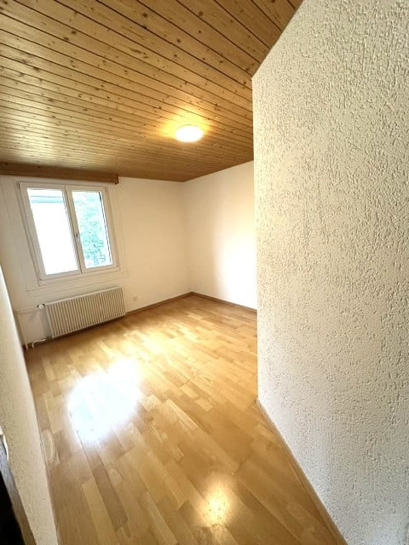 Charmante 3-Zimmer-Altbauwohnung mit schöner Aussicht in St. Gallen (4)