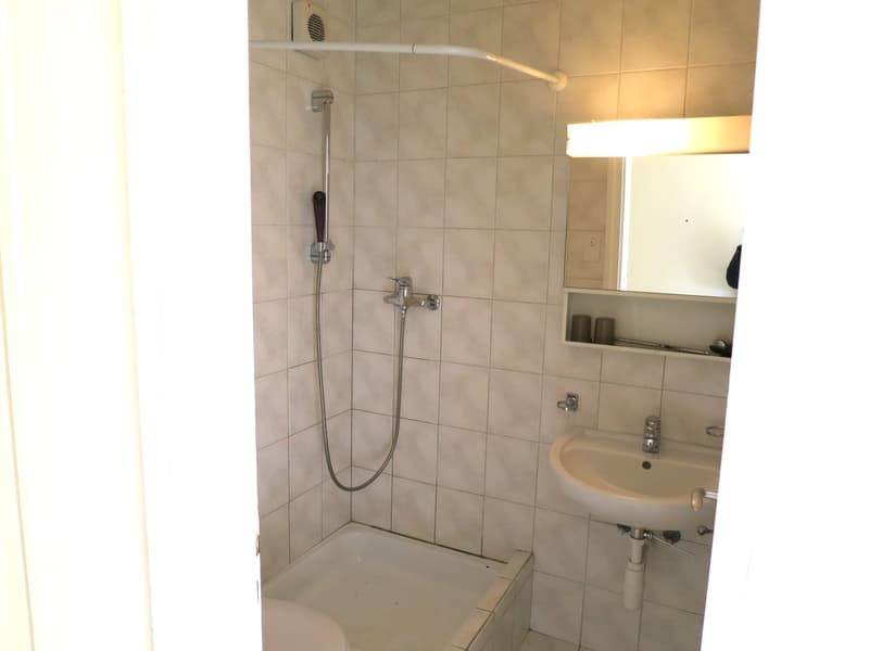 Gemütliches 1-Zimmer-Apartment im 3. OG mit Lift in St. Gallen (6)