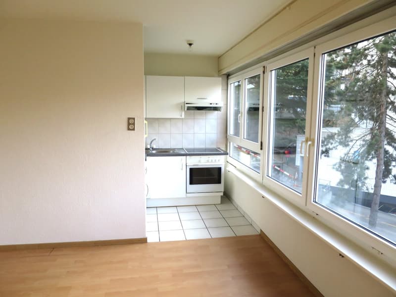 Gemütliches 1-Zimmer-Apartment im 3. OG mit Lift in St. Gallen (3)
