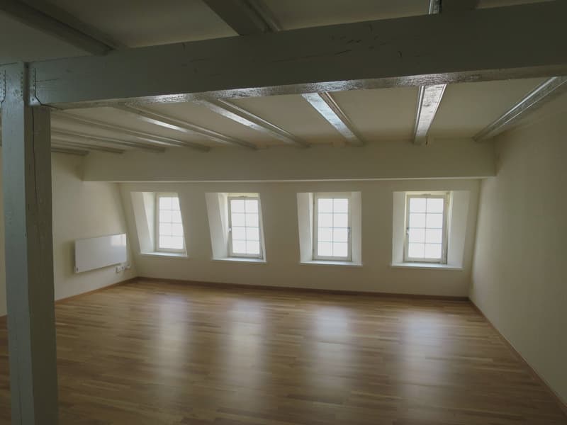 Charmante 2-Zimmer-Dachwohnung in der Altstadt von St. Gallen (2)