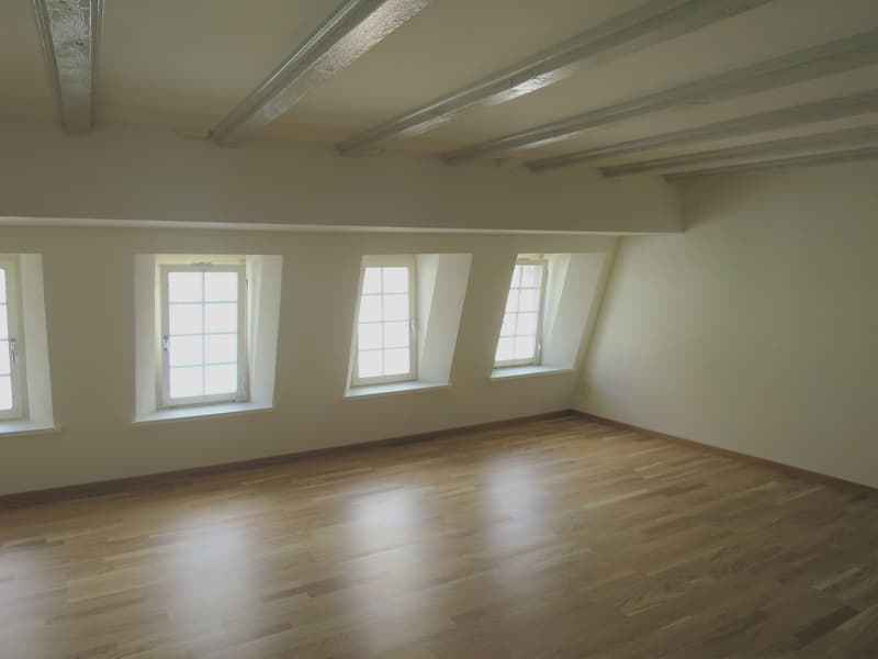 Charmante 2-Zimmer-Dachwohnung in der Altstadt von St. Gallen (3)