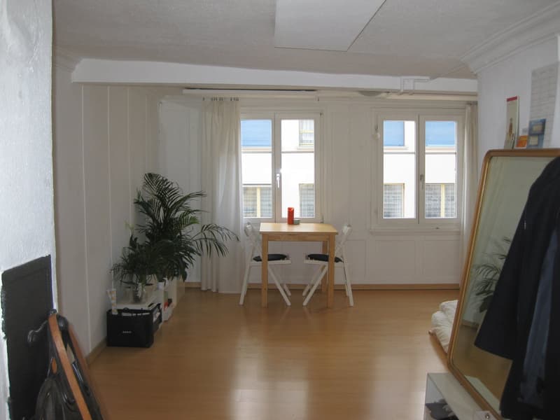 Charmantes 1-Zimmer-Apartment in der Altstadt von St. Gallen (4)