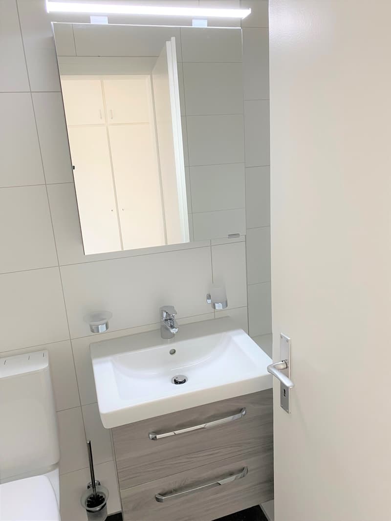Gemütliche 1.5-Zimmer-Wohnung im 5. OG (7)