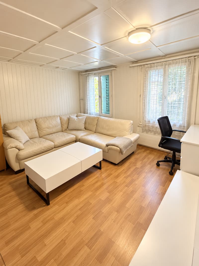 Gemütliche 3-Zimmer-Wohnung im Altbau in Herisau (9)