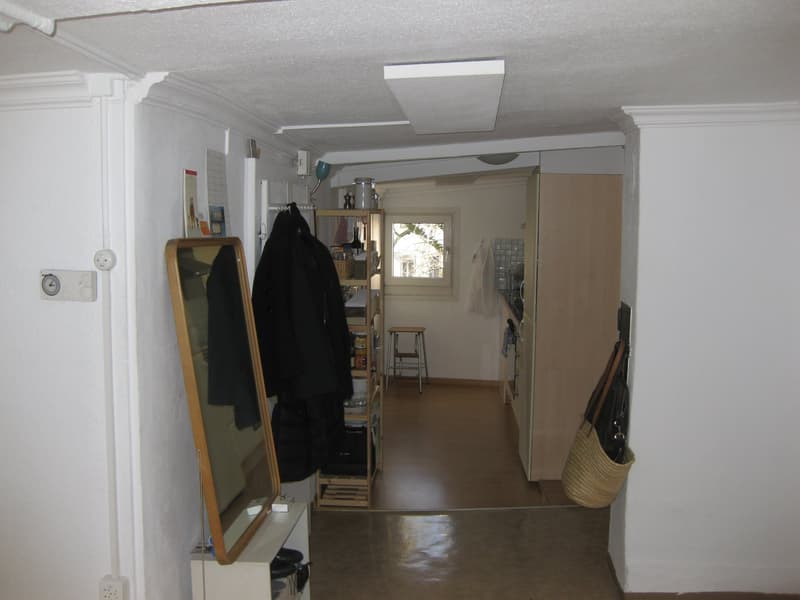 Charmantes 1-Zimmer-Apartment in der Altstadt von St. Gallen (2)