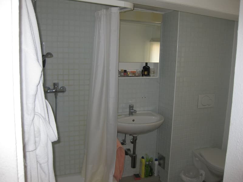 Charmantes 1-Zimmer-Apartment in der Altstadt von St. Gallen (5)